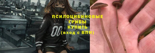ПСИЛОЦИБИНОВЫЕ ГРИБЫ Волосово