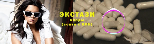 индика Верхний Тагил