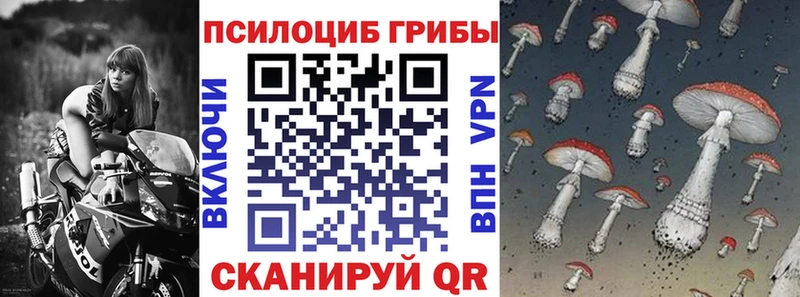 Псилоцибиновые грибы MAGIC MUSHROOMS  Камбарка 